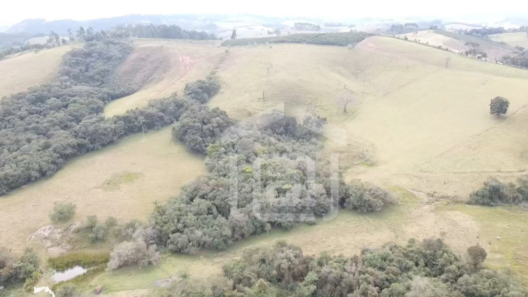 Imagem Imóvel com 2 Quartos à Venda, 29 m² em Pessegueiros - Campestre Imagem Imóvel com 2 Quartos à Venda, 29 m² em Pessegueiros - Campestre