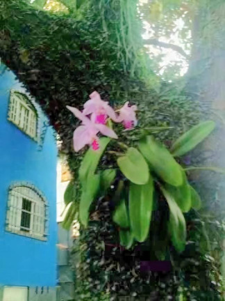 Imagem Casa com 6 Quartos à Venda, 648 m² em Ataíde - Vila Velha Imagem Casa com 6 Quartos à Venda, 648 m² em Ataíde - Vila Velha