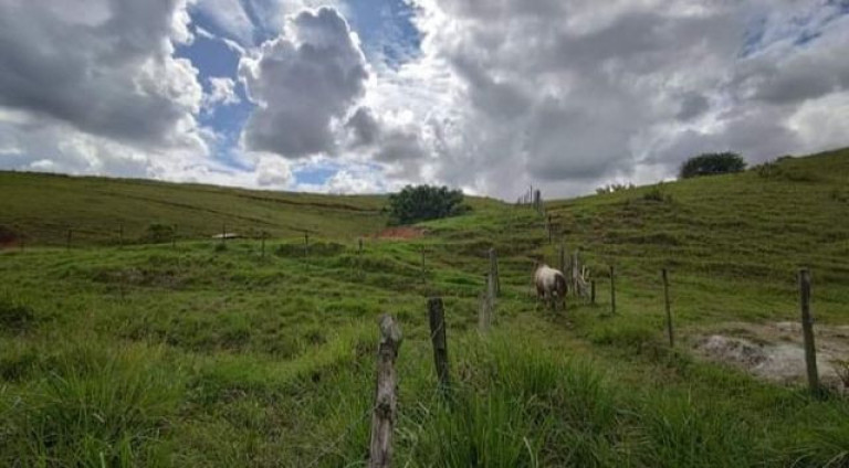Imagem Imóvel à Venda, em área Rural - Macaé Imagem Imóvel à Venda, em área Rural - Macaé