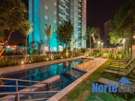 Imagem Apartamento com 3 Quartos à Venda, 63 m² em Vila Guilherme - São Paulo Imagem Apartamento com 3 Quartos à Venda, 63 m² em Vila Guilherme - São Paulo