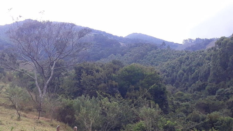 Imagem Fazenda à Venda, 120 m² em Centro - Passa Quatro Imagem Fazenda à Venda, 120 m² em Centro - Passa Quatro