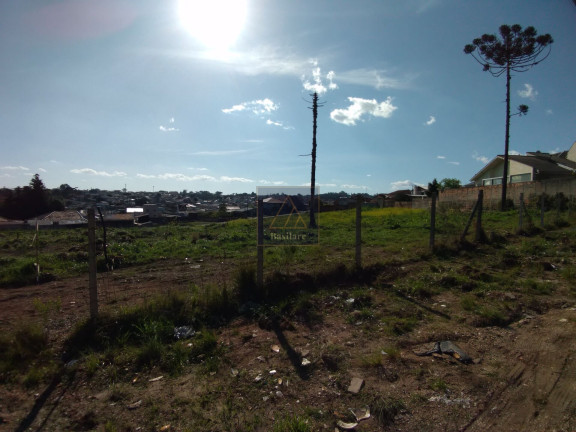 Imagem Terreno à Venda, 9.139 m² em Campo Pequeno - Colombo Imagem Terreno à Venda, 9.139 m² em Campo Pequeno - Colombo