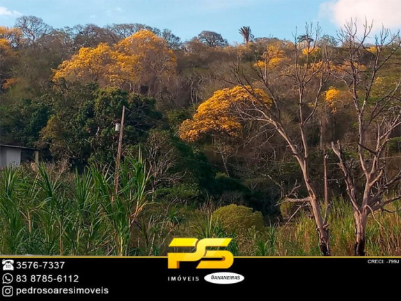 Imagem Imóvel à Venda, 65.000 m² em Serraria - Serraria Imagem Imóvel à Venda, 65.000 m² em Serraria - Serraria