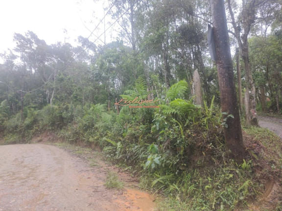 Imagem Terreno à Venda, 16.000 m² em Boa Vista - Mogi Das Cruzes Imagem Terreno à Venda, 16.000 m² em Boa Vista - Mogi Das Cruzes