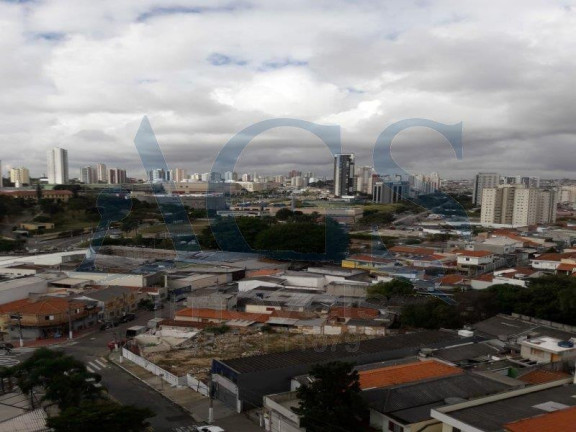 Imagem Apartamento com 3 Quartos à Venda, 109 m² em Agua Rasa - São Paulo Imagem Apartamento com 3 Quartos à Venda, 109 m² em Agua Rasa - São Paulo