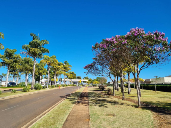 Imagem Terreno à Venda, 750 m² em Condomínio Terras Alpha Anápolis - Anápolis Imagem Terreno à Venda, 750 m² em Condomínio Terras Alpha Anápolis - Anápolis