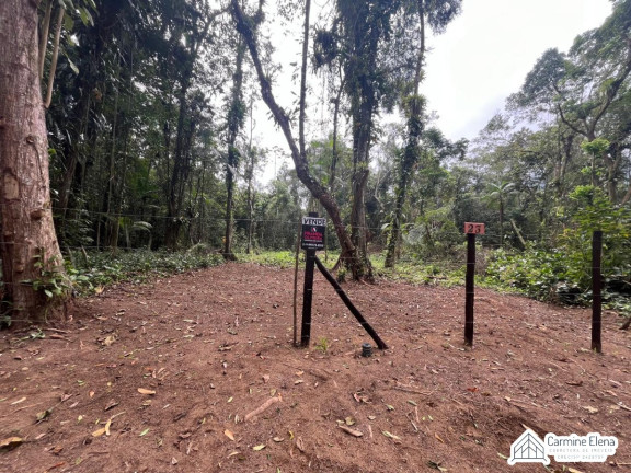 Imagem Terreno à Venda, 300 m² em Ubatumirim - Ubatuba Imagem Terreno à Venda, 300 m² em Ubatumirim - Ubatuba