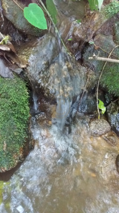 Imagem Chácara à Venda, em São Benedito - Monteiro Lobato Imagem Chácara à Venda, em São Benedito - Monteiro Lobato