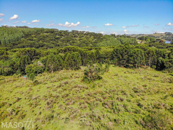 Imagem Chácara à Venda, 65.000 m² em Eletra - São Francisco De Paula Imagem Chácara à Venda, 65.000 m² em Eletra - São Francisco De Paula