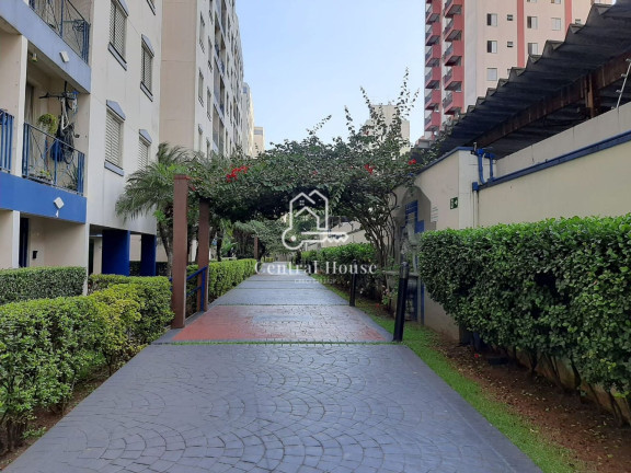 Imagem Apartamento com 3 Quartos à Venda, 62 m² em Jardim São Savério - São Paulo Imagem Apartamento com 3 Quartos à Venda, 62 m² em Jardim São Savério - São Paulo