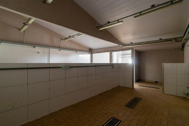Imagem Casa com 3 Quartos à Venda, 208 m² em Vila Congonhas - São Paulo