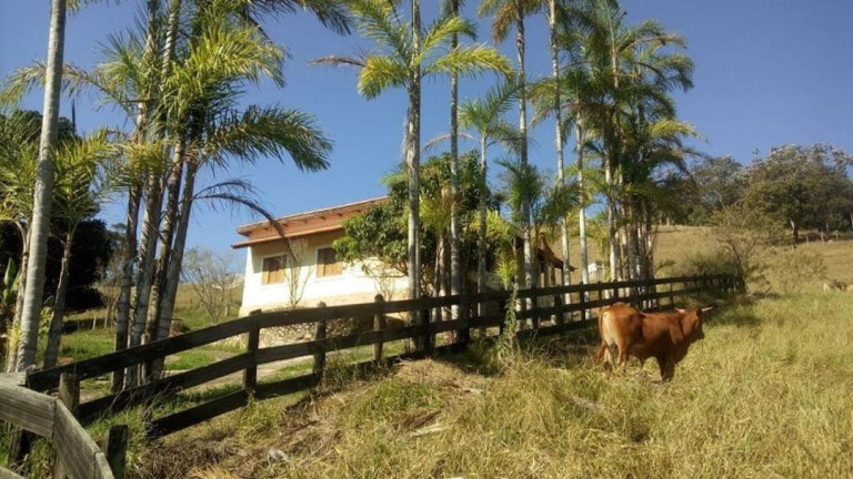 Imagem Chácara com 3 Quartos à Venda, 100 m² em Centro - Paraibuna Imagem Chácara com 3 Quartos à Venda, 100 m² em Centro - Paraibuna