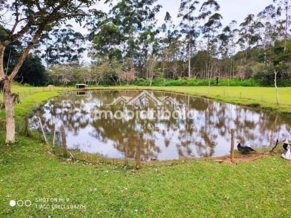 Imagem Chácara com 4 Quartos à Venda, 17.000 m² em Cachoeirinha - Bom Jesus Dos Perdões