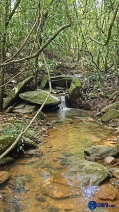 Imagem Fazenda à Venda, 37 m² em Zona Rural - Anápolis Imagem Fazenda à Venda, 37 m² em Zona Rural - Anápolis