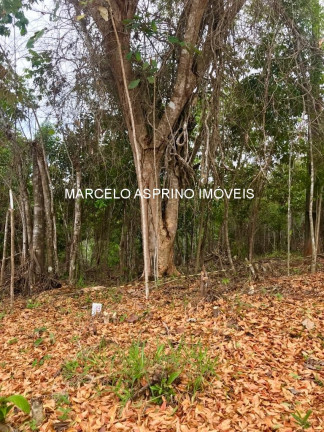 Imagem Imóvel à Venda, 1.000 m² em Jeribucaçu - Itacaré Imagem Imóvel à Venda, 1.000 m² em Jeribucaçu - Itacaré
