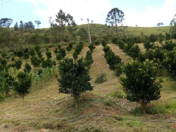 Imagem Imóvel com 2 Quartos à Venda, 51.700 m² em Centro - Cerro Azul Imagem Imóvel com 2 Quartos à Venda, 51.700 m² em Centro - Cerro Azul