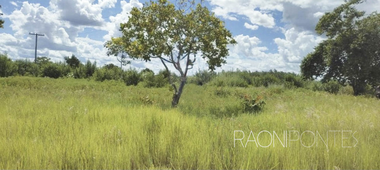 Imagem Fazenda à Venda, 3.810.000 m² em Zona Rural - Várzea Grande Imagem Fazenda à Venda, 3.810.000 m² em Zona Rural - Várzea Grande
