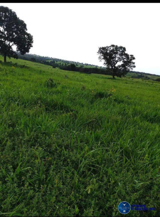 Imagem Fazenda à Venda, 123 m² em Zona Rural - Torixoréu Imagem Fazenda à Venda, 123 m² em Zona Rural - Torixoréu