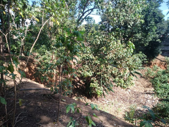 Imagem Terreno à Venda, 1.078 m² em Centro - Poá Imagem Terreno à Venda, 1.078 m² em Centro - Poá