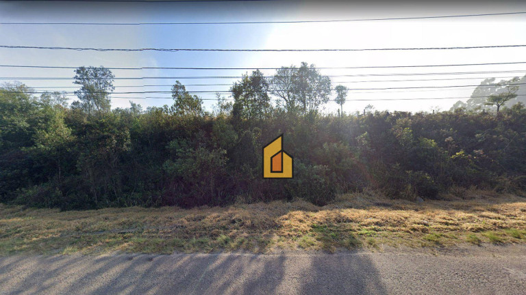 Imagem Terreno à Venda, 43.500 m² em Estação - Araucária