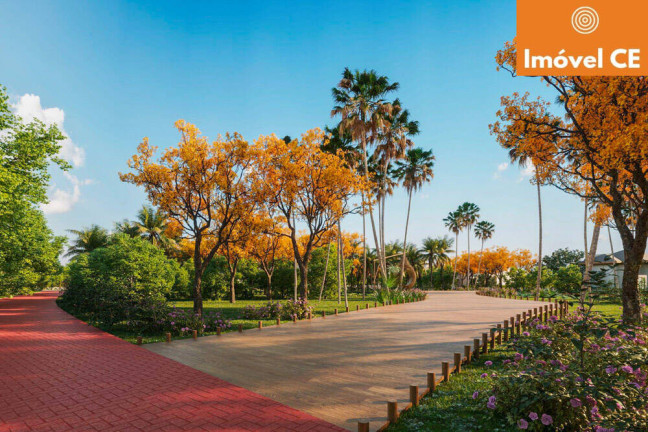 Imagem Terreno à Venda, 250 m² em Praia Da Taíba - São Gonçalo Do Amarante Imagem Terreno à Venda, 250 m² em Praia Da Taíba - São Gonçalo Do Amarante