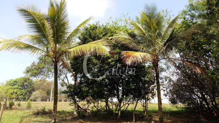 Imagem Chácara com 3 Quartos à Venda, 43.000 m² em Artur Nogueira Imagem Chácara com 3 Quartos à Venda, 43.000 m² em Artur Nogueira