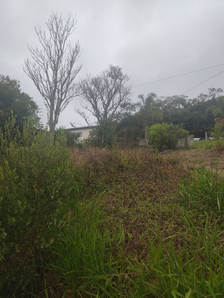 Imagem Fazenda à Venda, 200 m² em Vila Bragança - Salesópolis Imagem Fazenda à Venda, 200 m² em Vila Bragança - Salesópolis