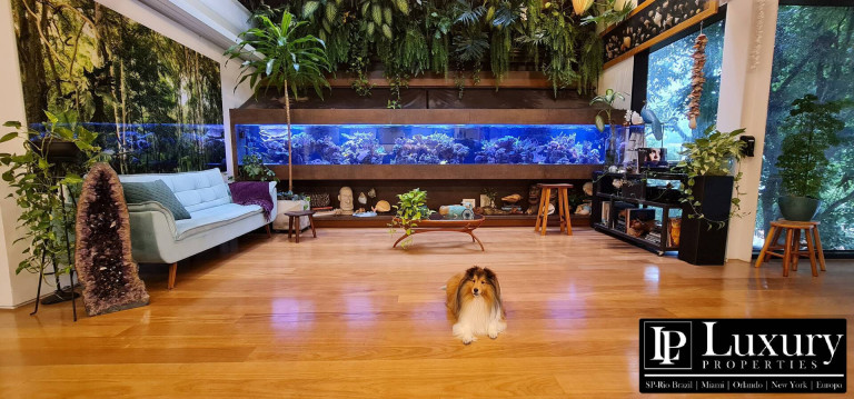 Imagem Casa com 4 Quartos à Venda,  em Vila Ipojuca - São Paulo