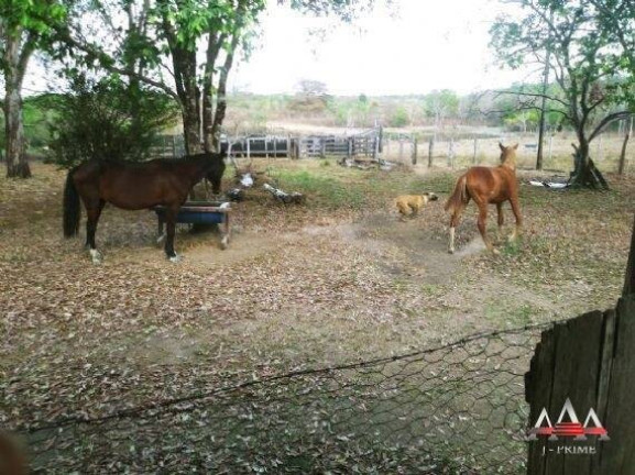 Imagem Fazenda à Venda, 324 m² em Zona Rural - Nova Brasilândia Imagem Fazenda à Venda, 324 m² em Zona Rural - Nova Brasilândia