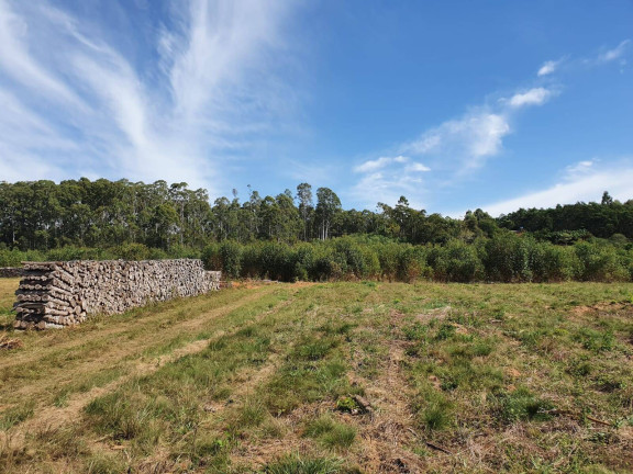 Imagem Chácara à Venda, 100 m² em Sanga Funda - Portão Imagem Chácara à Venda, 100 m² em Sanga Funda - Portão