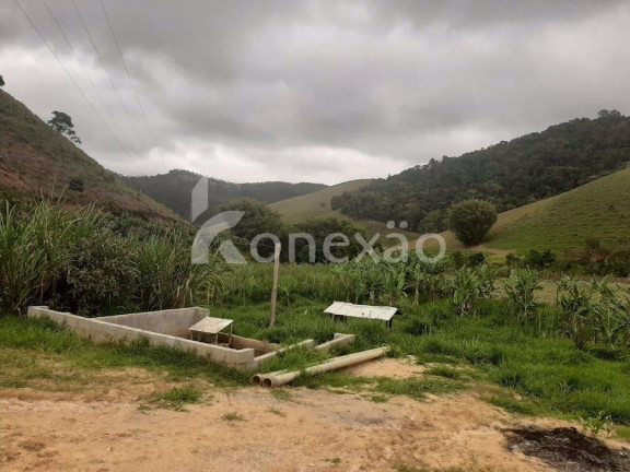 Imagem Fazenda à Venda, 90 m² em Itapeva - Paraibuna Imagem Fazenda à Venda, 90 m² em Itapeva - Paraibuna