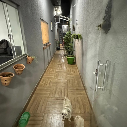 Imagem Casa com 3 Quartos à Venda, 160 m² em Sitios Santa Luzia - Aparecida De Goiania Imagem Casa com 3 Quartos à Venda, 160 m² em Sitios Santa Luzia - Aparecida De Goiania