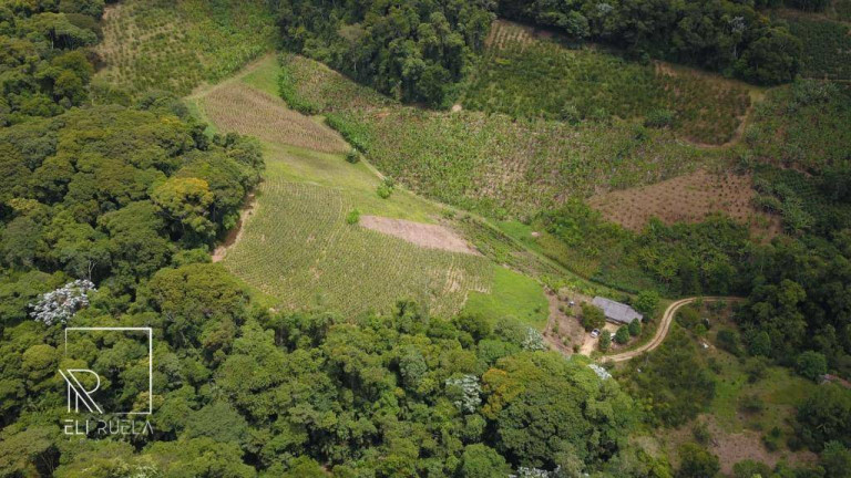 Imagem Chácara com 3 Quartos à Venda, 30.000 m² em Boa Esperança - Marechal Floriano Imagem Chácara com 3 Quartos à Venda, 30.000 m² em Boa Esperança - Marechal Floriano