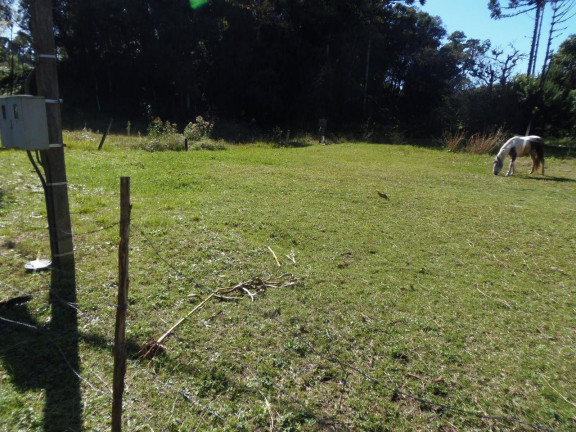 Imagem Terreno à Venda, 515 m² em Bateias - Campo Largo Imagem Terreno à Venda, 515 m² em Bateias - Campo Largo