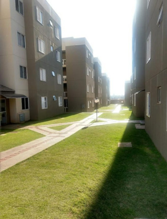 Imagem Apartamento com 2 Quartos à Venda, 48 m² em Conjunto Floresta - Sarandi Imagem Apartamento com 2 Quartos à Venda, 48 m² em Conjunto Floresta - Sarandi