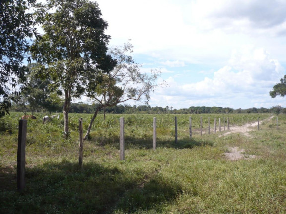 Imagem Fazenda à Venda, 777 m² em Rural - Lizarda Imagem Fazenda à Venda, 777 m² em Rural - Lizarda