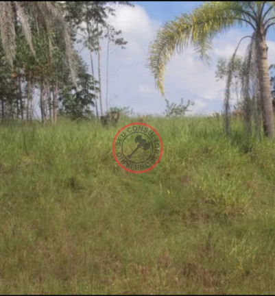 Imagem Chácara com 4 Quartos à Venda, 350 m² em Centro - Guararema Imagem Chácara com 4 Quartos à Venda, 350 m² em Centro - Guararema