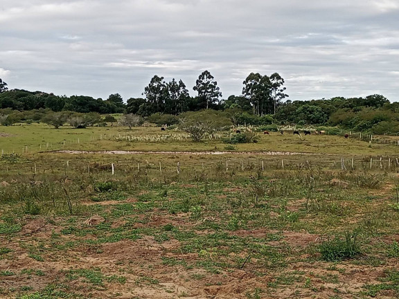 Chácara com 2 Quartos à Venda, 20.000 m² em águas Claras - Viamão