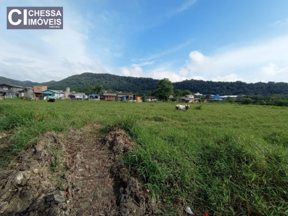 Imagem Terreno à Venda, 33.367 m² em Espinheiros - Itajaí Imagem Terreno à Venda, 33.367 m² em Espinheiros - Itajaí