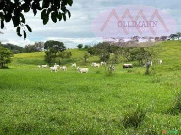 Imagem Terreno à Venda, 87 m² em Capela Do Alto - Capela Do Alto