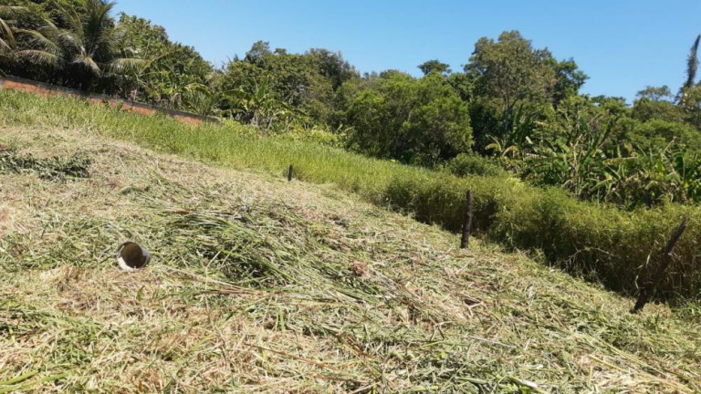 Imagem Terreno à Venda, 3.100 m² em Guaratiba - Rio De Janeiro