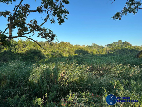 Imagem Chácara à Venda, 2 m² em Zona Rural - Bela Vista De Goiás Imagem Chácara à Venda, 2 m² em Zona Rural - Bela Vista De Goiás
