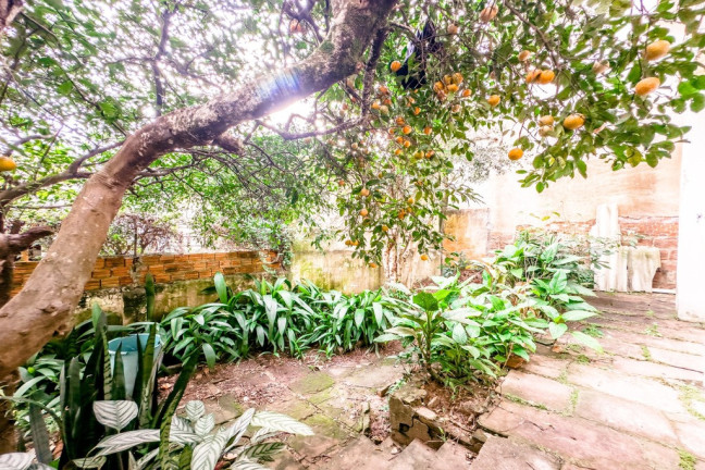 Imagem Casa com 3 Quartos à Venda, 240 m² em Petrópolis - Porto Alegre Imagem Casa com 3 Quartos à Venda, 240 m² em Petrópolis - Porto Alegre