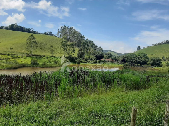 Imagem Fazenda à Venda, 600 m² em Pouso Alto - Natividade Da Serra Imagem Fazenda à Venda, 600 m² em Pouso Alto - Natividade Da Serra