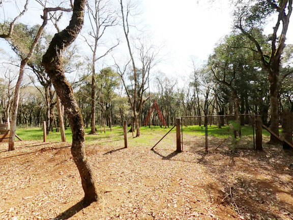 Imagem Fazenda à Venda, 24.200 m² em Morro Alto - Guarapuava Imagem Fazenda à Venda, 24.200 m² em Morro Alto - Guarapuava