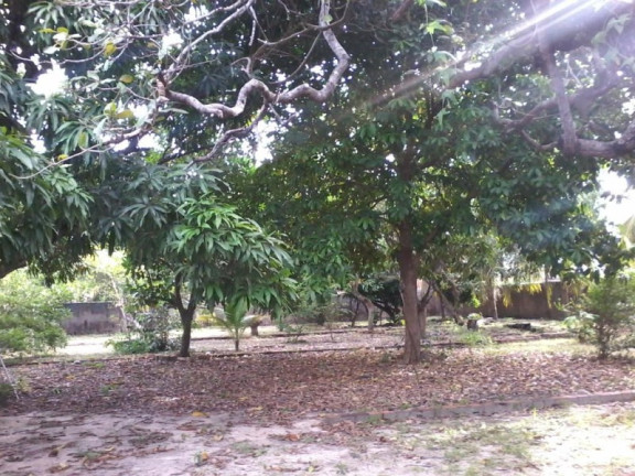 Imagem Imóvel com 4 Quartos à Venda, 4.200 m² em Cágado - Maracanaú Imagem Imóvel com 4 Quartos à Venda, 4.200 m² em Cágado - Maracanaú