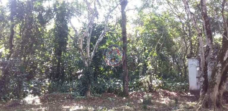Imagem Fazenda à Venda, 5.000 m² em San Marcos - Itanhaém Imagem Fazenda à Venda, 5.000 m² em San Marcos - Itanhaém