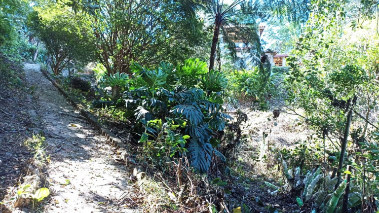 Imagem Chácara com 3 Quartos à Venda, 200 m² em Canaã I - Jambeiro Imagem Chácara com 3 Quartos à Venda, 200 m² em Canaã I - Jambeiro