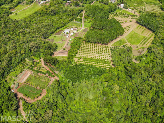 Imagem Chácara à Venda, 216.000 m² em Linha 28 - Gramado Imagem Chácara à Venda, 216.000 m² em Linha 28 - Gramado