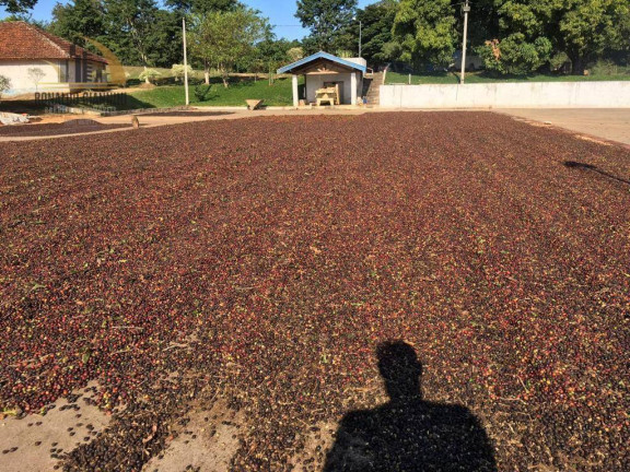 Imagem Fazenda à Venda, 968.000 m² em São Luis - Jacutinga